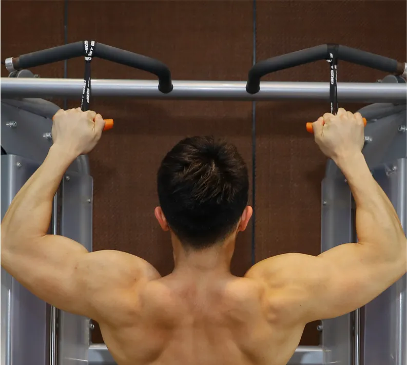 Elastic Pull-up Grip