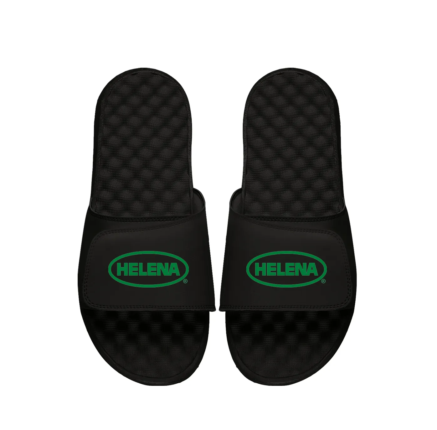 Helena Primary Black Slides