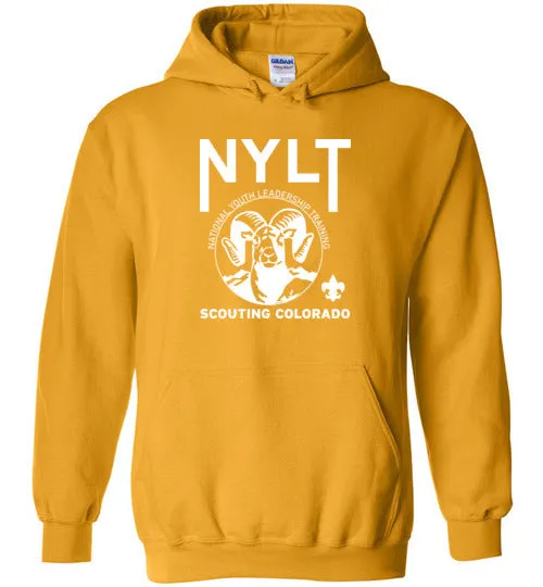 NYLT Heavy Blend Hoodie