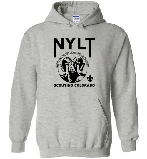 NYLT Heavy Blend Hoodie