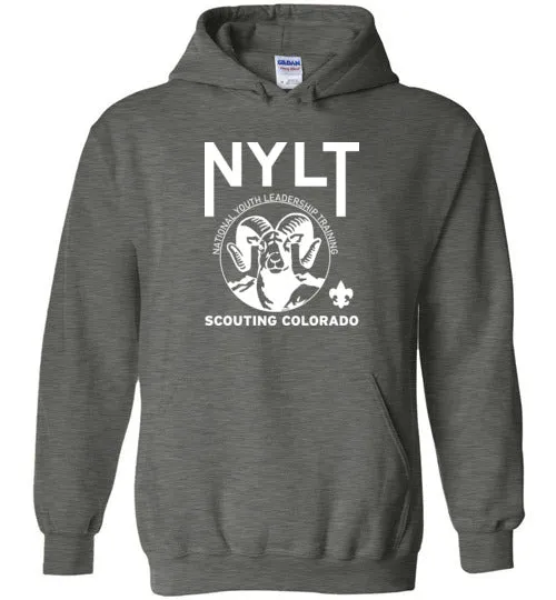 NYLT Heavy Blend Hoodie